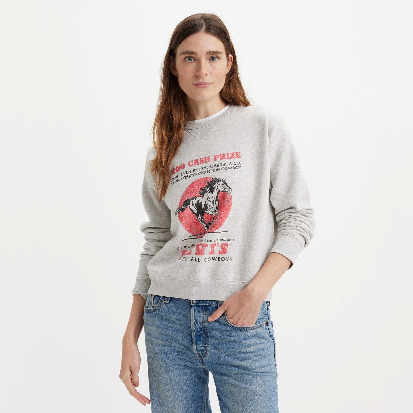 GRAPHIC SIGNATURE CREWNECK SWEATSHIRT - GREY