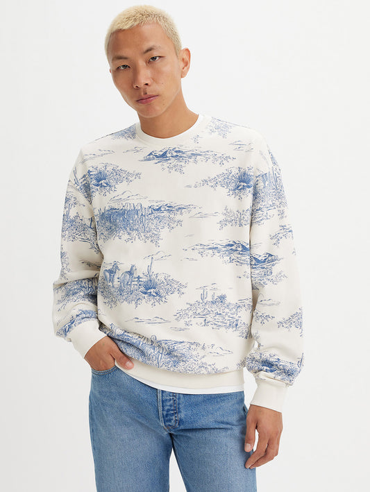 RELAXED FIT GRAPHIC CREWNECK SWEATSHIRT - BLUE