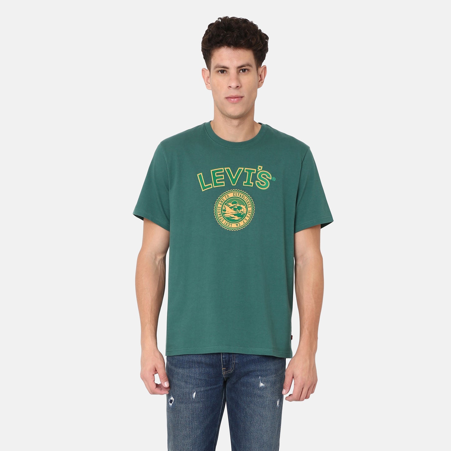 LEVI'S® MEN'S RELAXED FIT SHORT-SLEEVE GRAPHIC T-SHIRT - GREEN