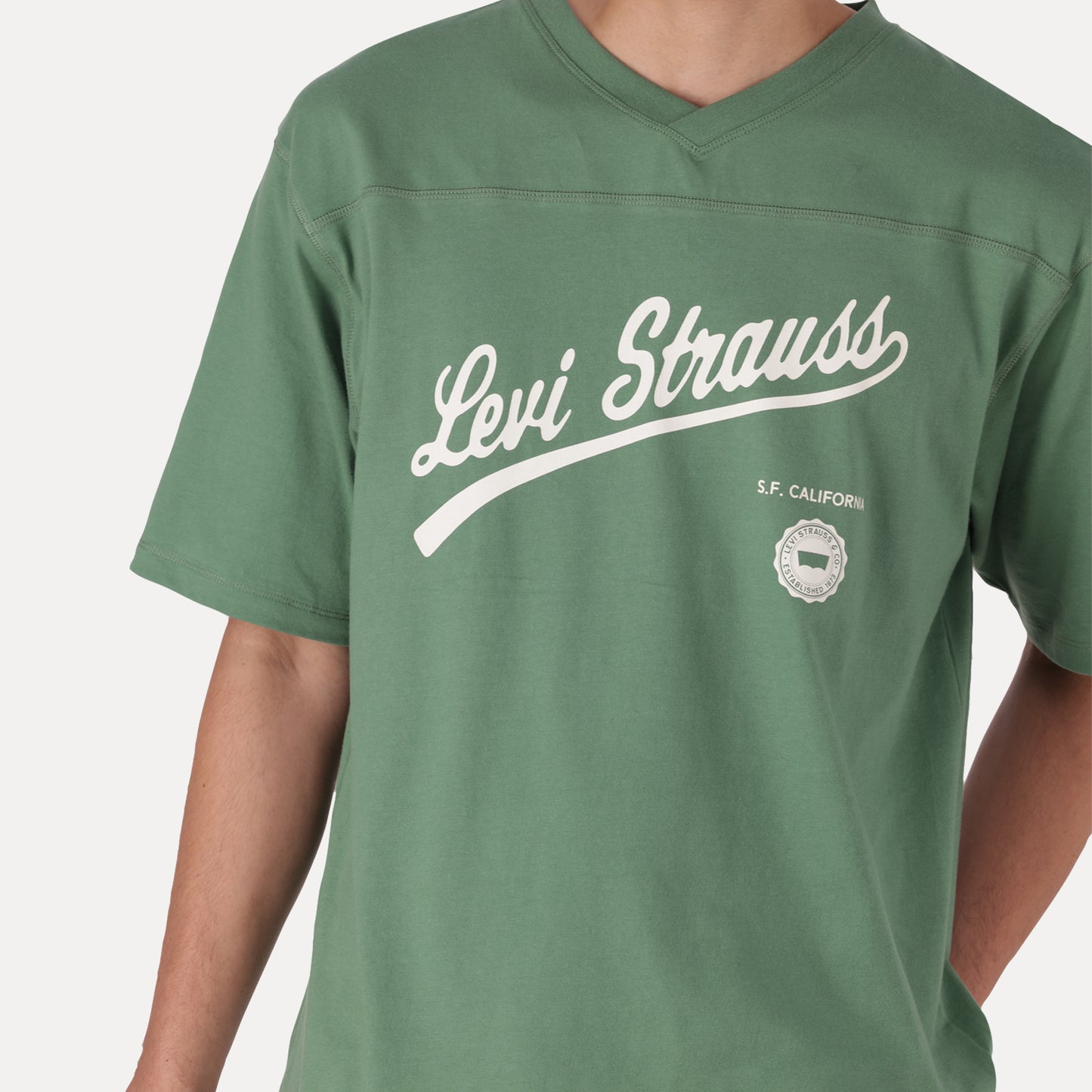 LEVI'S® MEN'S GRAPHIC PLATED REC TEE - GREEN