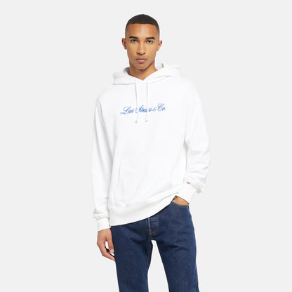 LEVI'S® MEN'S PREMIUM GRAPHIC HOODIE - NEUTRAL