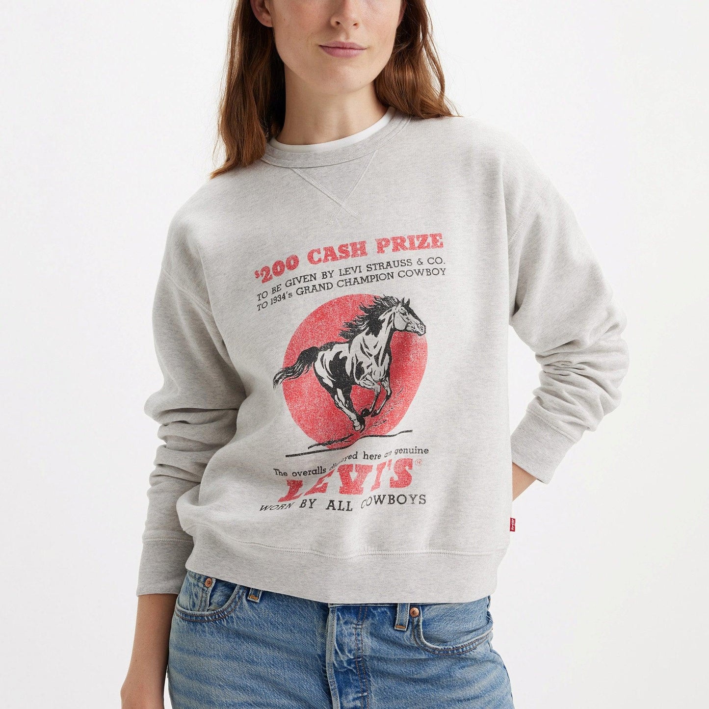 GRAPHIC SIGNATURE CREWNECK SWEATSHIRT - GREY